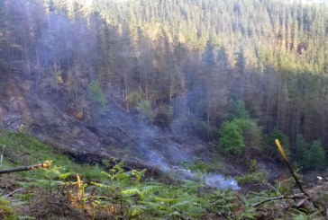 Bomberos de 5 parques sofocan el incendio forestal de Amorebieta tras cuatro horas de trabajo