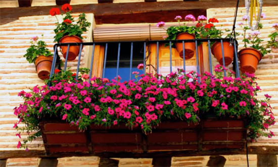 BalconesFlores