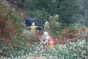 Un coche cae por un terraplén en Durango y el conductor desaparece