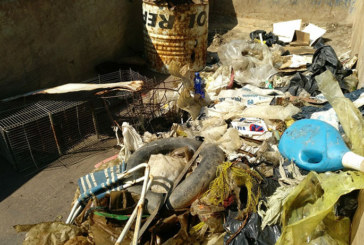 El Ayuntamiento de Abadiño retira 2.700 kilos de basura de los ríos Zaldu e Ibaizabal
