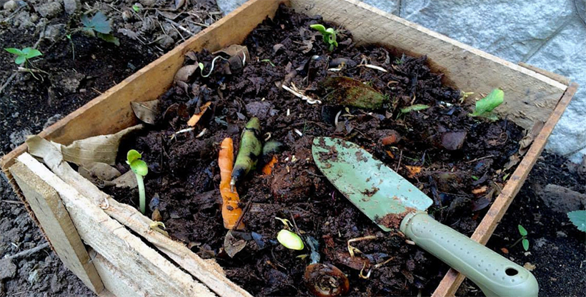 Compost