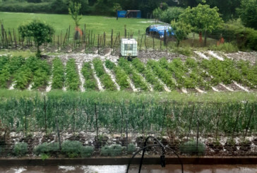 El granizo descarga en Durangaldea