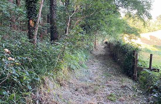 Abren una nueva ruta de paseo entre Zelaieta y Gaztelua junto a las trincheras de la guerra carlista