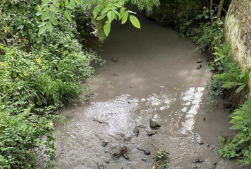 Denuncian vertidos al río Zumelegi por las obras del TAV en Elorrio