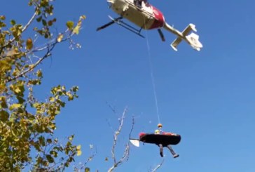 Un árbol cae sobre un hombre de edad avanzada cuando paseaba por el barrio Okango de Berriz