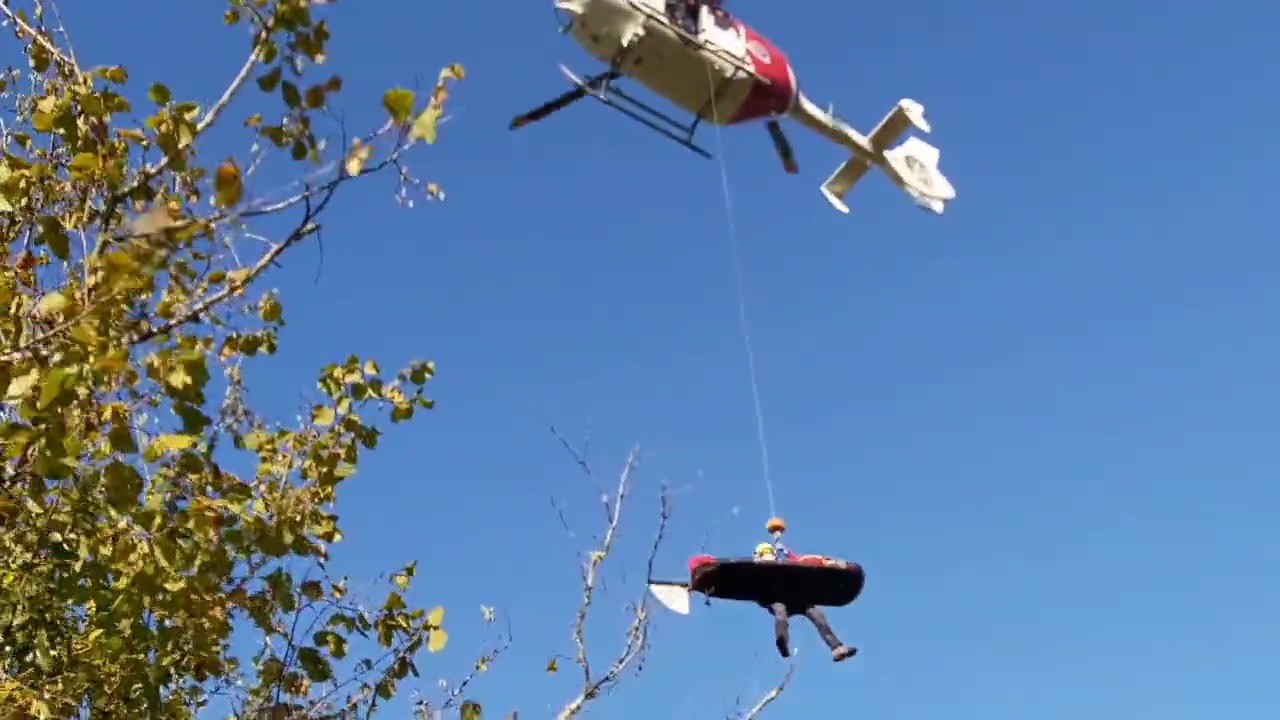 Un árbol cae sobre un hombre de edad avanzada cuando paseaba por el barrio Okango de Berriz