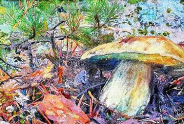 Rosa María Sánchez expone sus ‘tesoros’ pictóricos en Ezkurdi