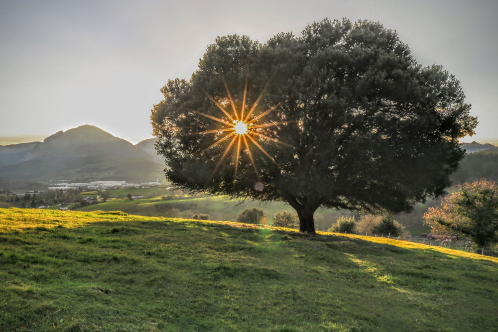 Natura-ondarea eta klima-aldaketa izango dira hizpide bihar Berrizen