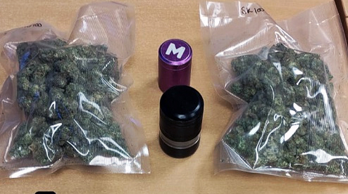 Detenido en Izurtza un hombre de 39 años con marihuana y hachís