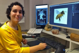 Taller de ilustración científica en Hontza Museoa