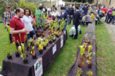 La feria de plantas y jardinería de Garai reunirá a 17 productores
