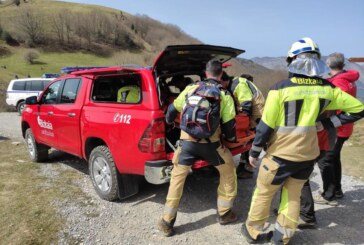 Fallece un trabajador forestal golpeado por un árbol en Amorebieta