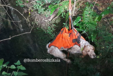Rescatan a dos perros caídos en una sima de 10 metros en Belatxikieta