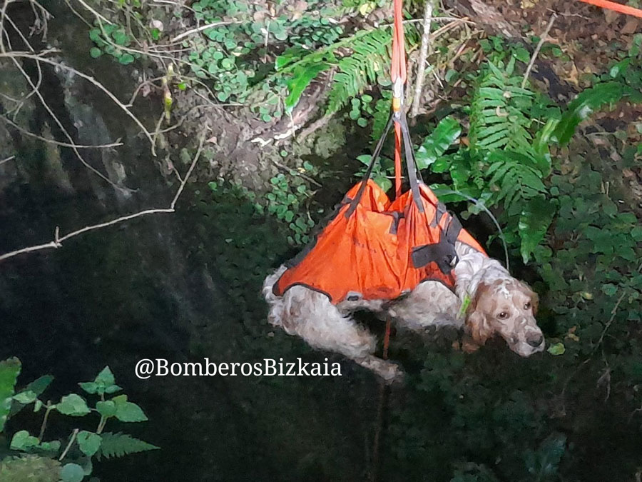 Rescatan a dos perros caídos en una sima de 10 metros en Belatxikieta