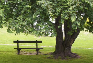Berriz acoge un ciclo de encuentros en torno al final de la vida y el duelo