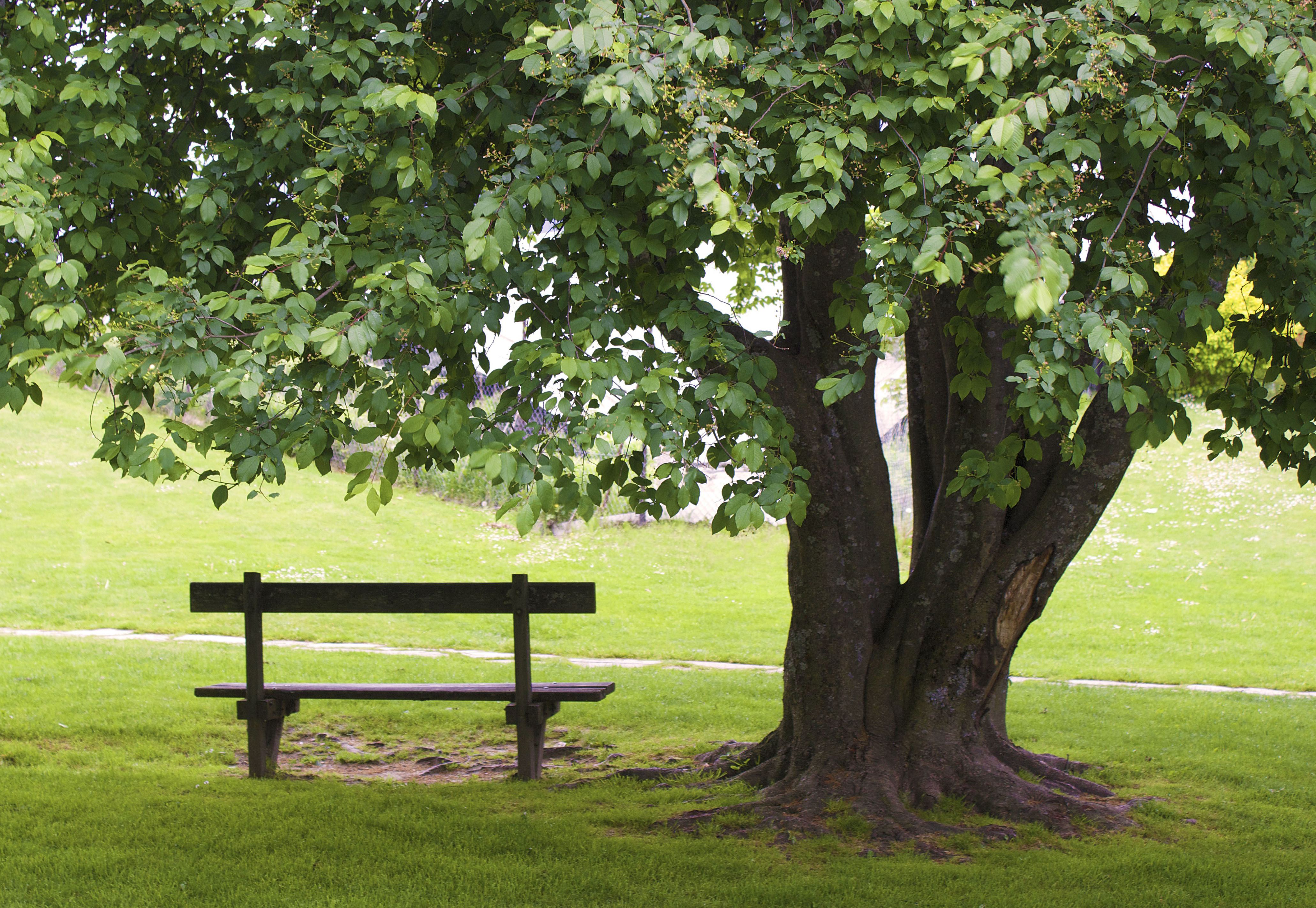 Berriz acoge un ciclo de encuentros en torno al final de la vida y el duelo