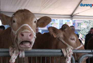 El sector primario celebra una feria de San Blas con muy buenas ventas