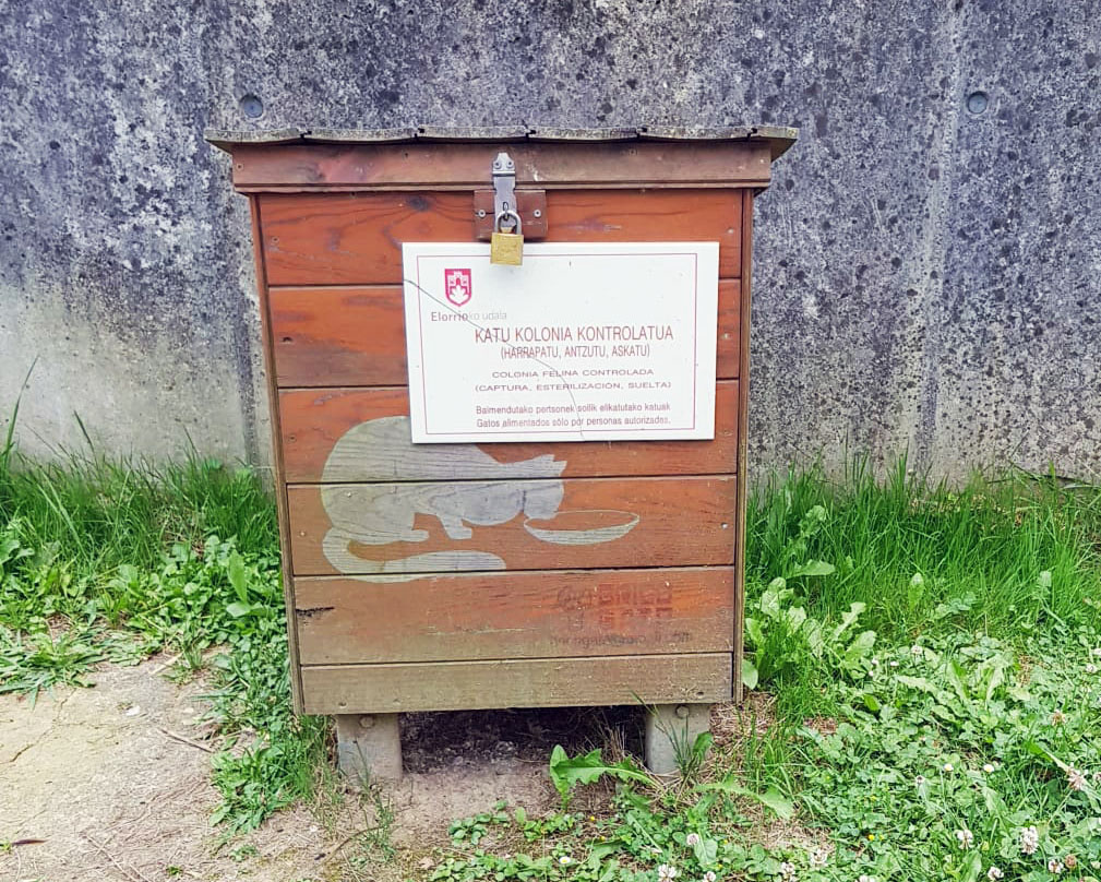 “Estamos aterradas, sólo he dado de comer a un animal enfermo”