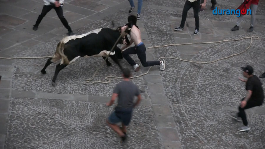 Las ‘zezenak dira’ dejan cinco heridos, dos de ellos trasladados al hospital de Galdakao