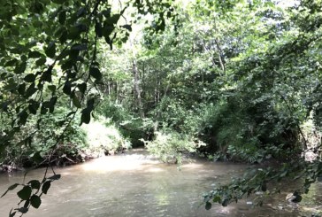Abadiño identifica residuos de amianto en el arroyo Zaldu y urge a Euskotren y a URA a retirarlos