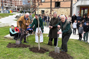 Un retoño del Árbol de Gernika crece ya en Muruetatorre