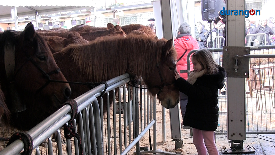 “El sector primario no puede vivir sólo de días como el de hoy”