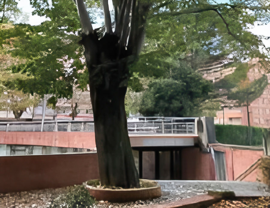 Durango retirará un tilo en Ezkurdi por motivos de seguridad