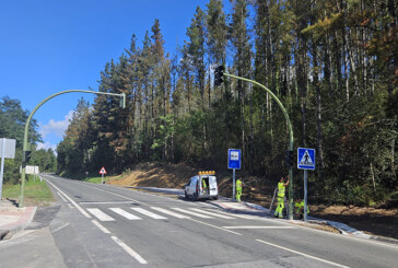 Mallabiak Goitondoko autobus geltokia egokitzeko lanak egin ditu