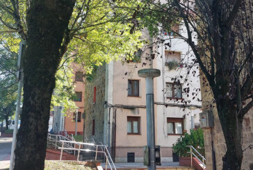 El estudio sobre el arbolado urbano de Durango se dará a conocer a la ciudadanía el miércoles