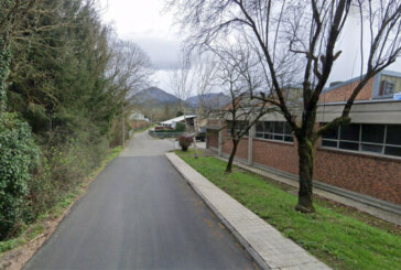 Empresas de Traña-Matiena denuncian pérdidas económicas <br/>por los constantes cortes de luz