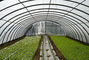 Urkiola Landa Garapena busca relevo para el sector agrario