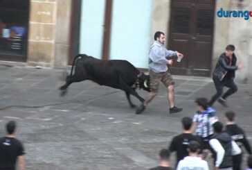 Las vaquillas causan 7 heridos leves en una animada sesión