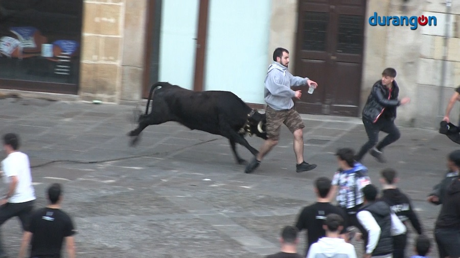 Las vaquillas causan 7 heridos leves en una animada sesión