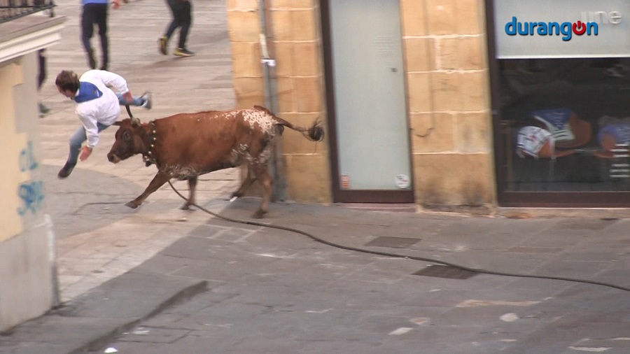 Las zezenak dira dan inicio al día de San Fausto con un balance de 10 personas heridas