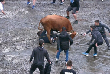 ¡Sigue las zezenak dira a través de durangon.com desde mañana!