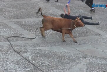 Un único herido leve en las zezenak dira de esta mañana