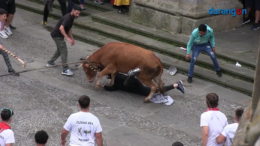 Las zezenak dira se despiden con ocho heridos y una sesión más breve