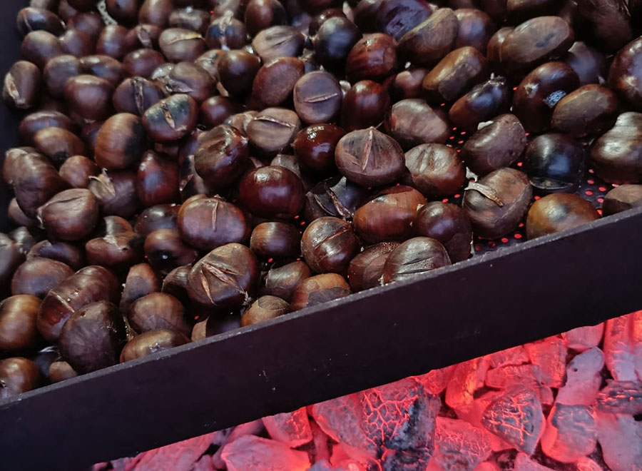 Gaztañerre solidarioa Berrizen, Sahararako elikagai bilketa