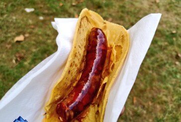 On Martin Egunaren ospakizuna Apatako plazan