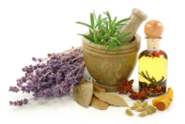 La asociación Senda Belarra ofrecerá mañana una charla con el conocido herbólogo Gabriel Vázquez