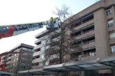 Los bomberos rescatan a un gato subido a un árbol en Amorebieta