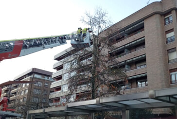 Los bomberos rescatan a un gato subido a un árbol en Amorebieta