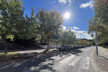 EH Bildu acusa al PNV de “manipular” la inversión real en arbolado en la calle Zumar