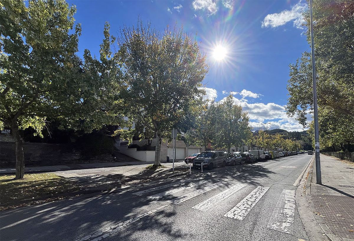 EH Bildu acusa al PNV de “manipular” la inversión real en arbolado en la calle Zumar