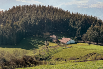Garai planta más de 3.000 árboles en su plan de recuperación forestal