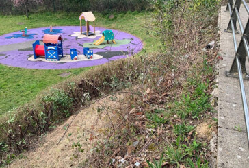 EAJ-PNV denuncia el deterioro de parques y fallos de iluminación en varias calles de Zaldibar