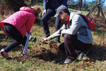 Durangoko Zuhaitz Egunak </br>60 parte-hartzaile batu zituen </br>San Andres basoan