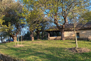 Garai replanta ocho robles en San Juan de Momoitio para reforzar la conservación del entorno