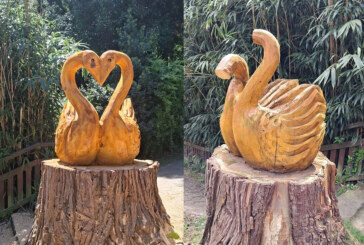 Berriz condena los daños causados a la escultura de los dos cisnes