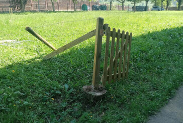 El Ayuntamiento de Iurreta condena los actos vandálicos ocurridos en Maiztegi Herri Eskola